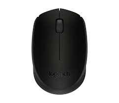 M170 Wireless Mouse negro